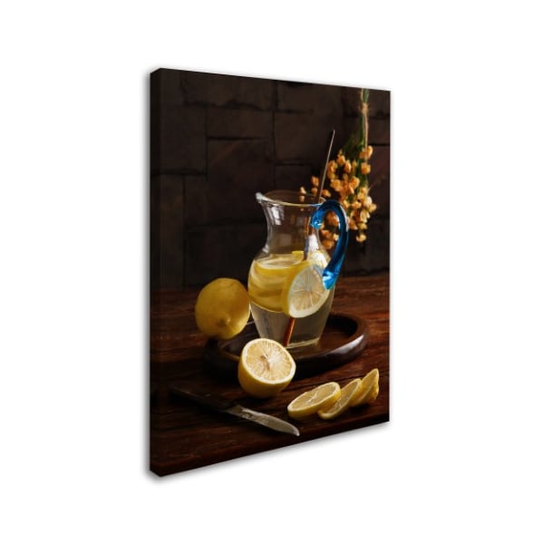 Luiz Laercio 'Life And Lemons' Canvas Art,14x19